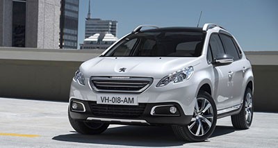 Peugeot kompatible Maßgefertigte LOGO Auto Fußmatten